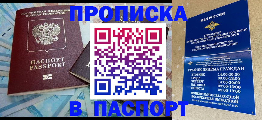 найти адрес прописки в Чапаевске